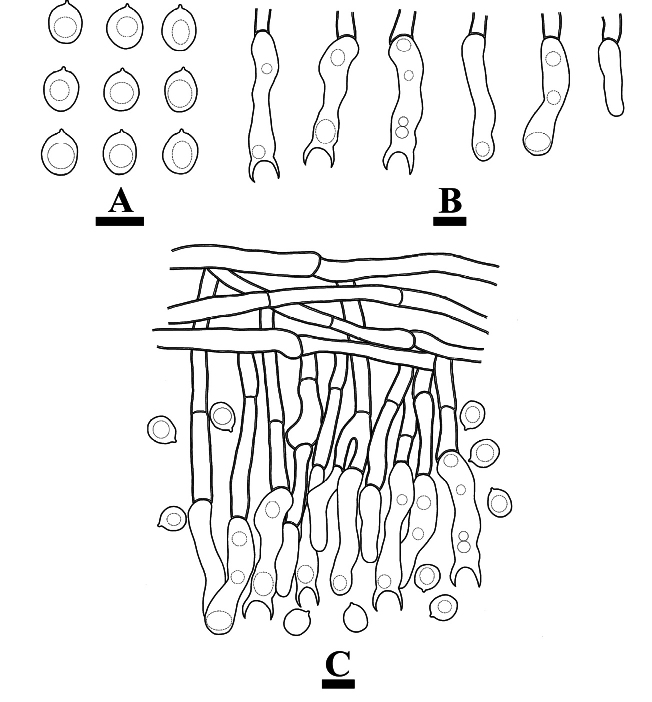 Figure 13