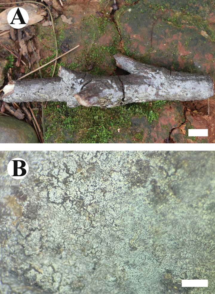 Figure 15