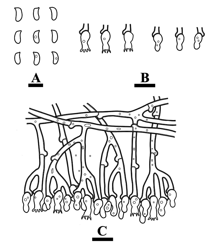 Figure 16