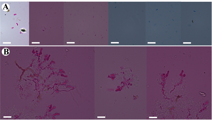 Figure 17