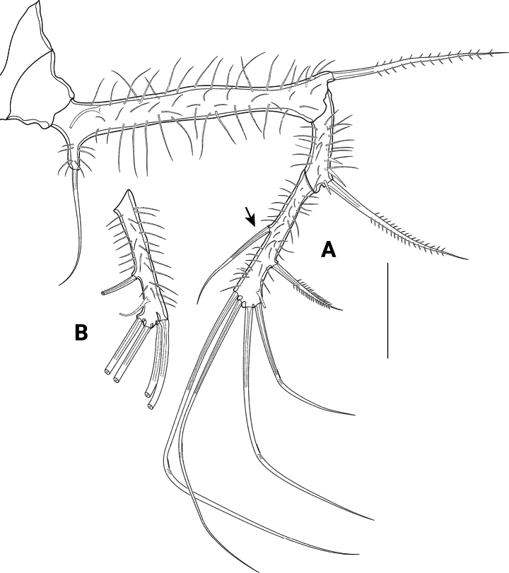 Figure 8