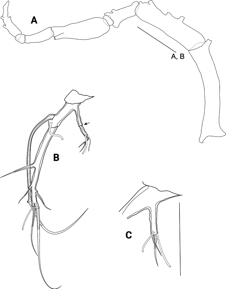 Figure 13