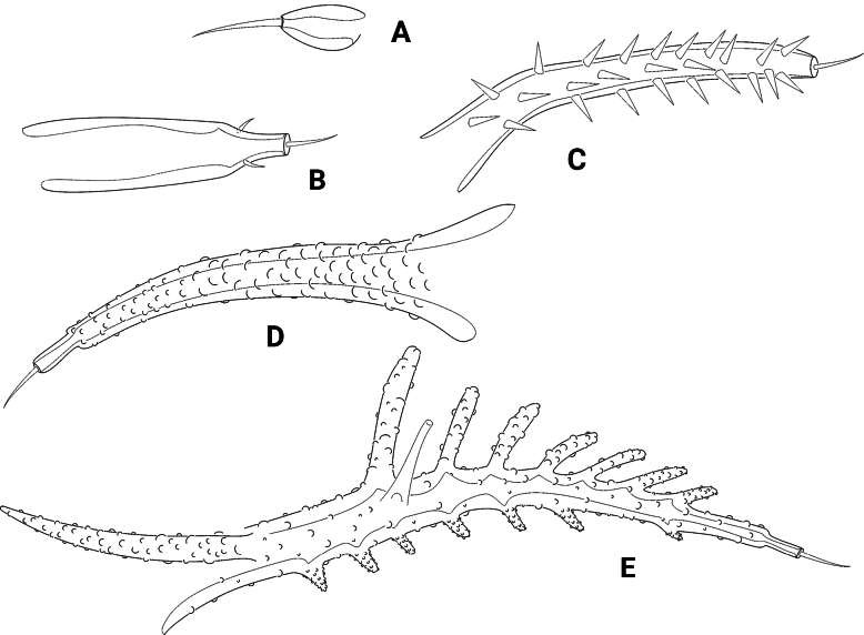 Figure 15