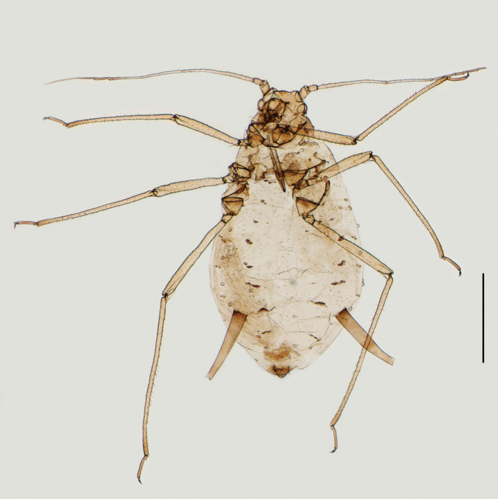 Figure 10
