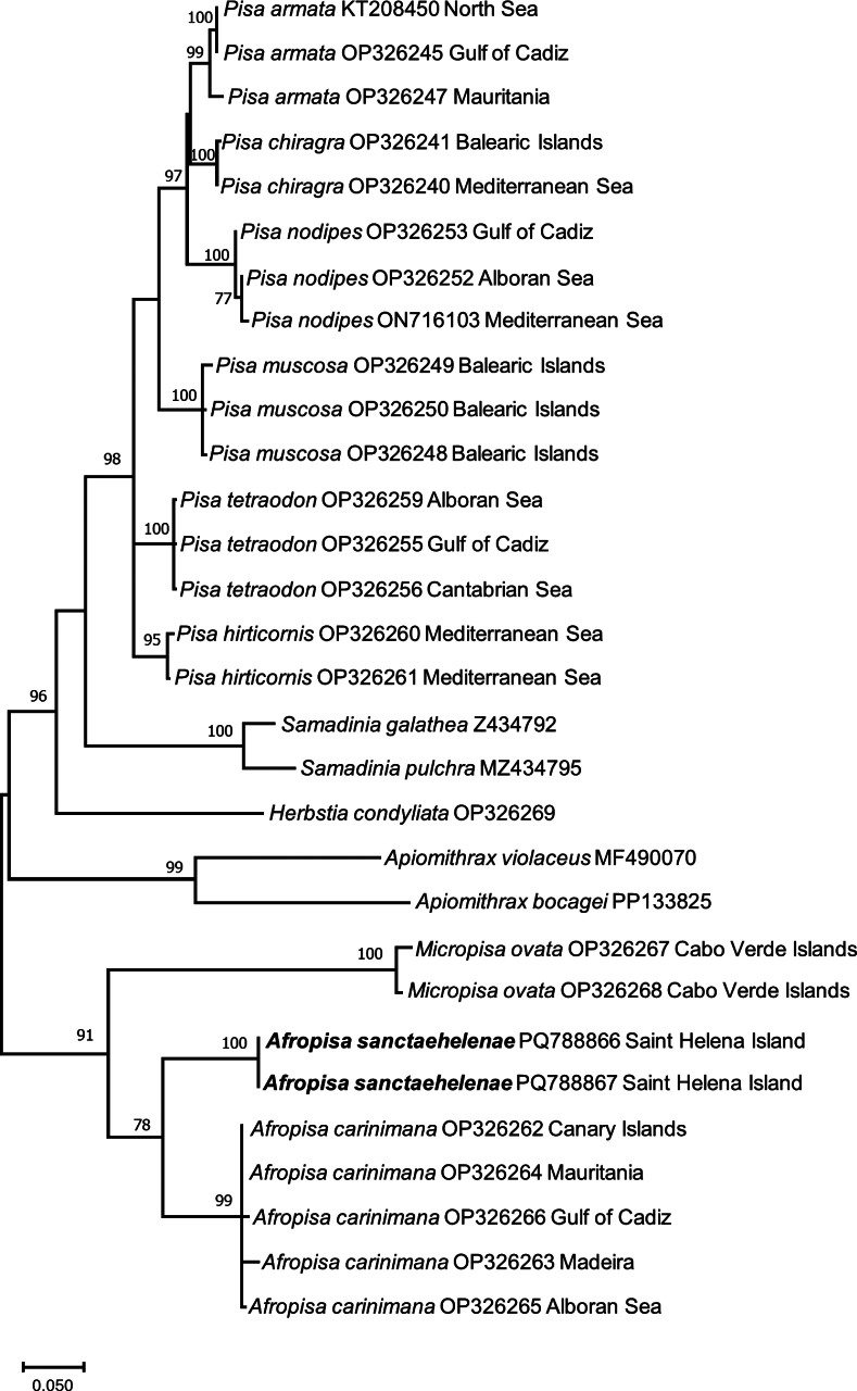 Figure 6