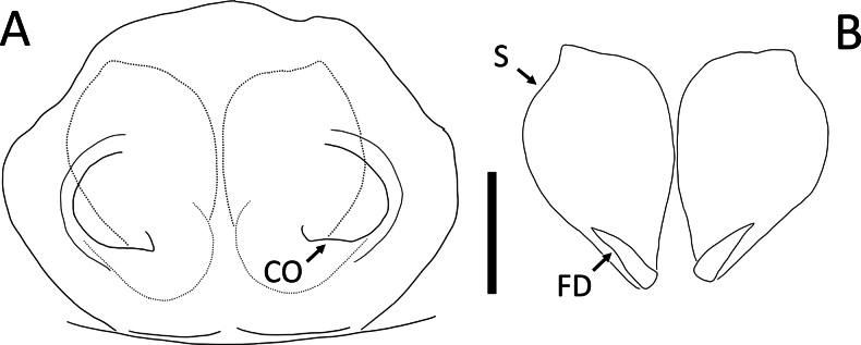 Figure 8