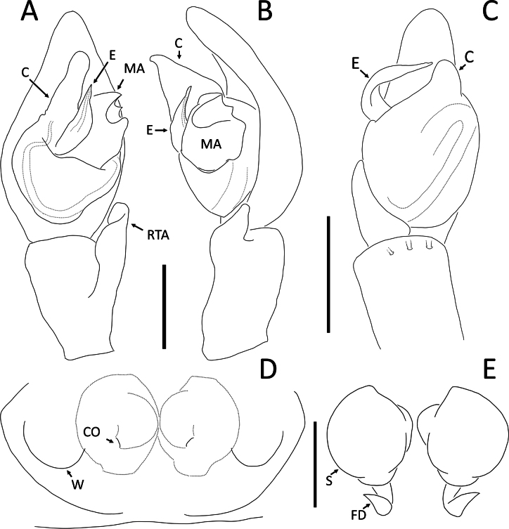 Figure 13