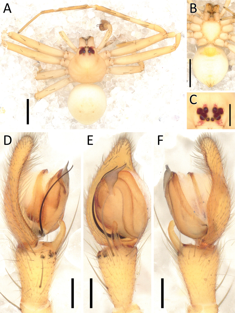 Figure 15