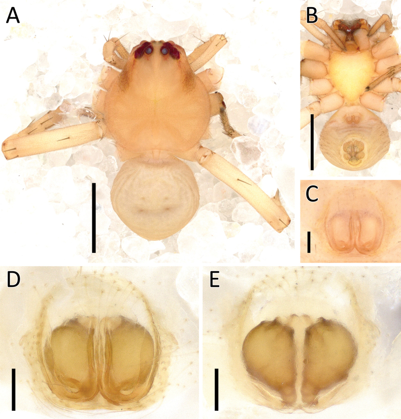 Figure 16