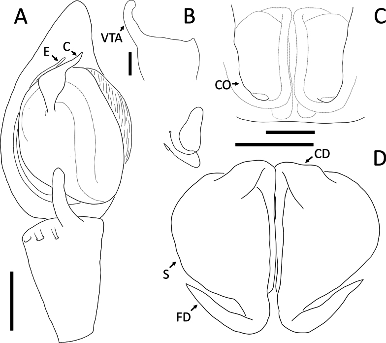 Figure 17