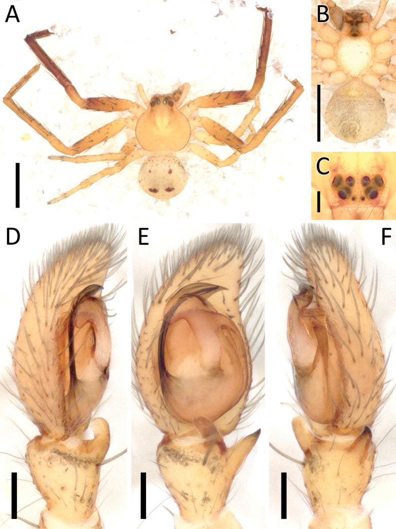 Figure 18