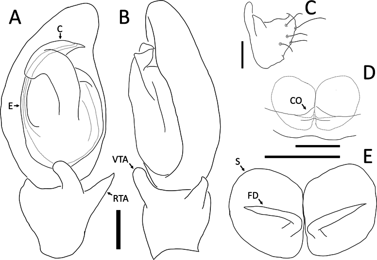 Figure 20
