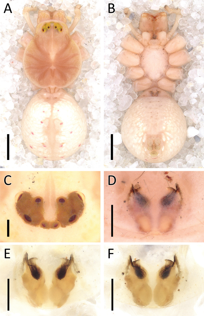 Figure 21