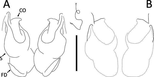 Figure 22