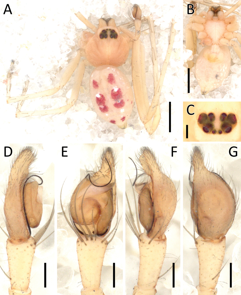 Figure 23