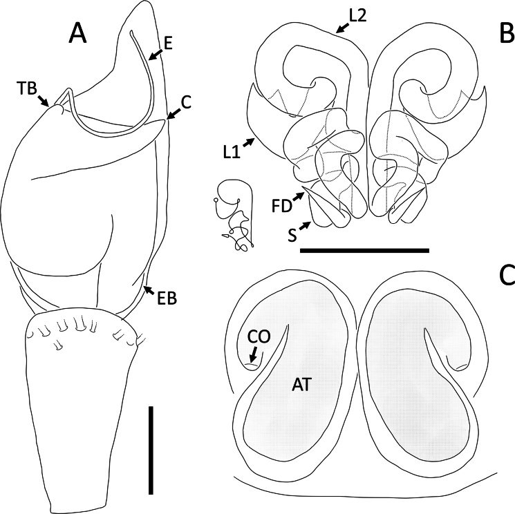 Figure 25