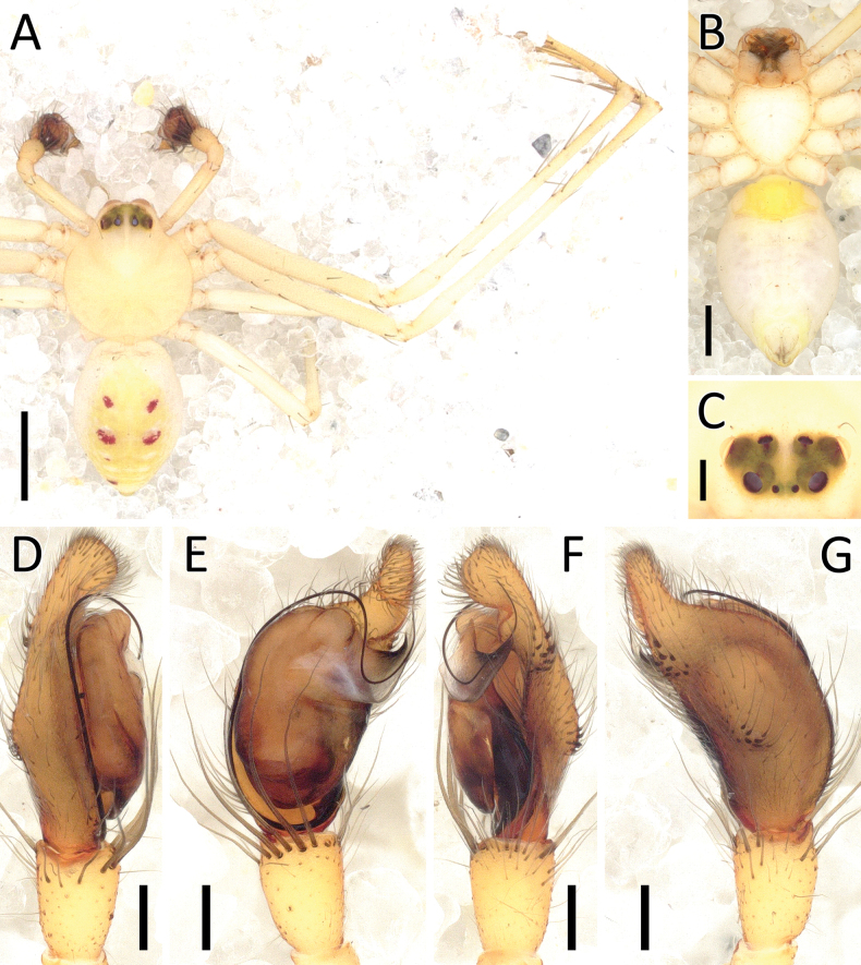 Figure 26