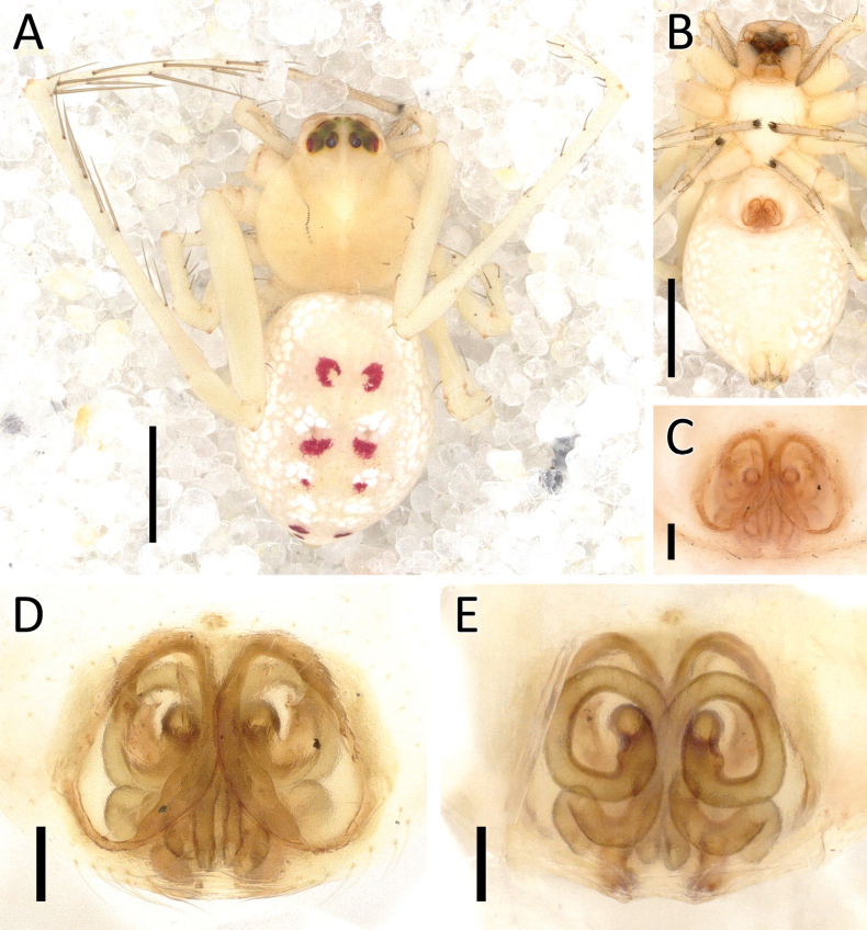 Figure 27
