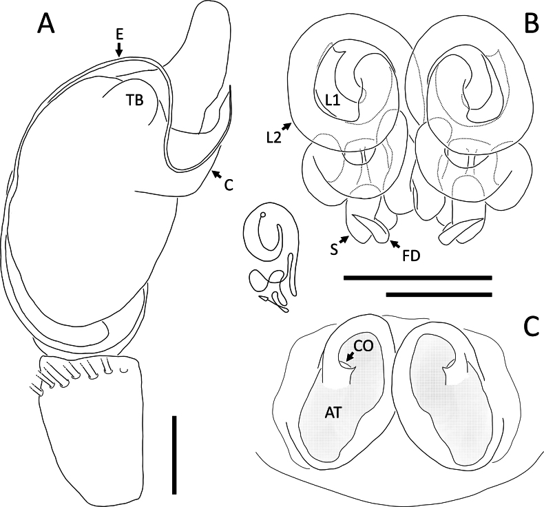 Figure 28