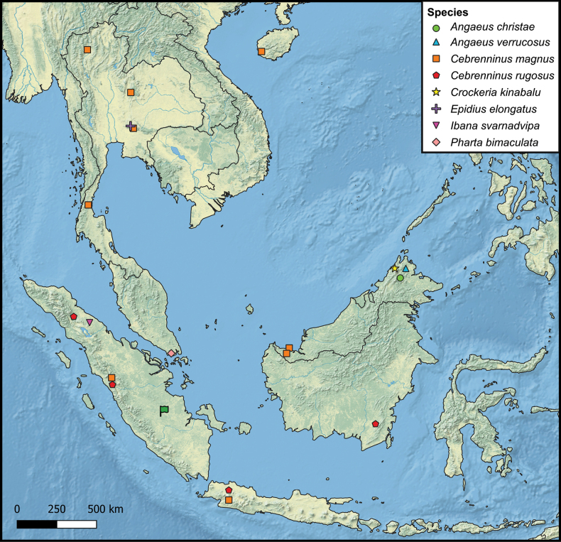 Figure 29