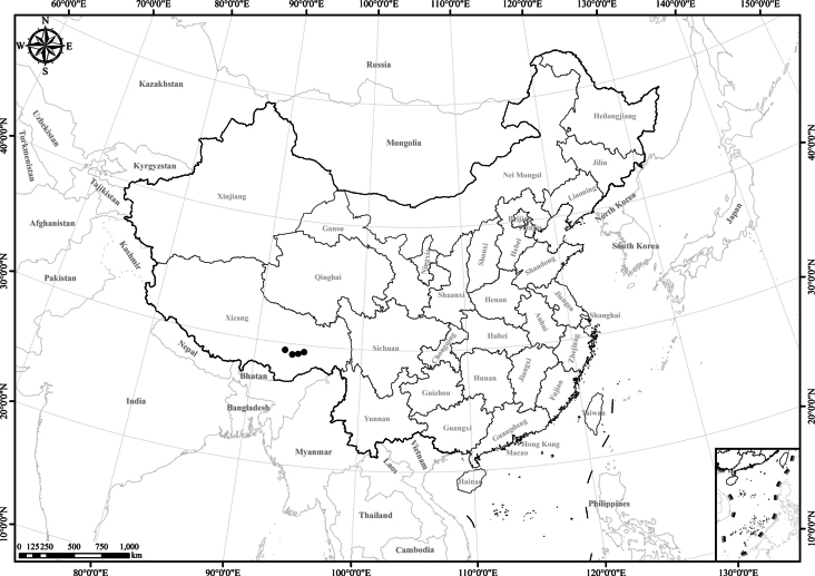 Figure 10