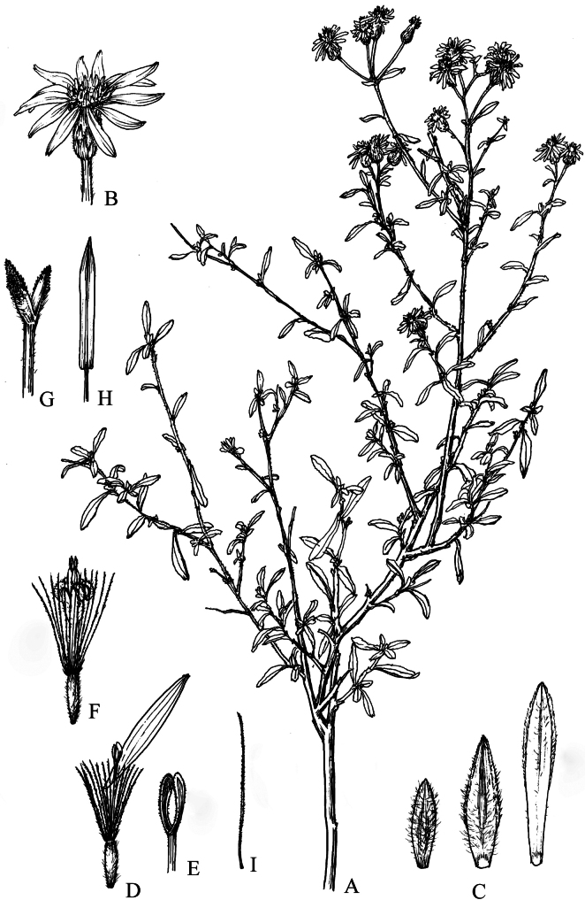 Figure 19