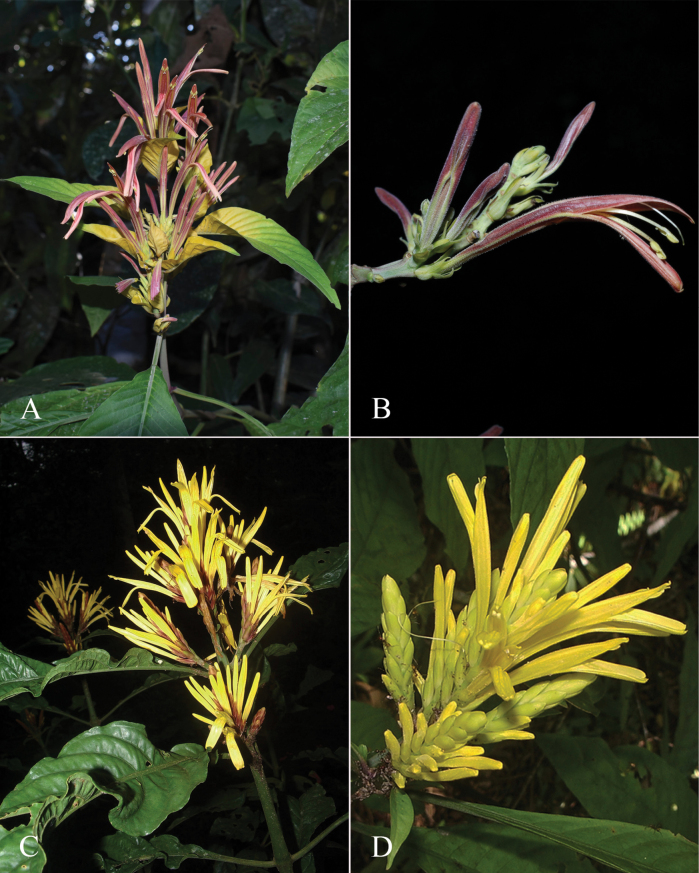 Figure 12