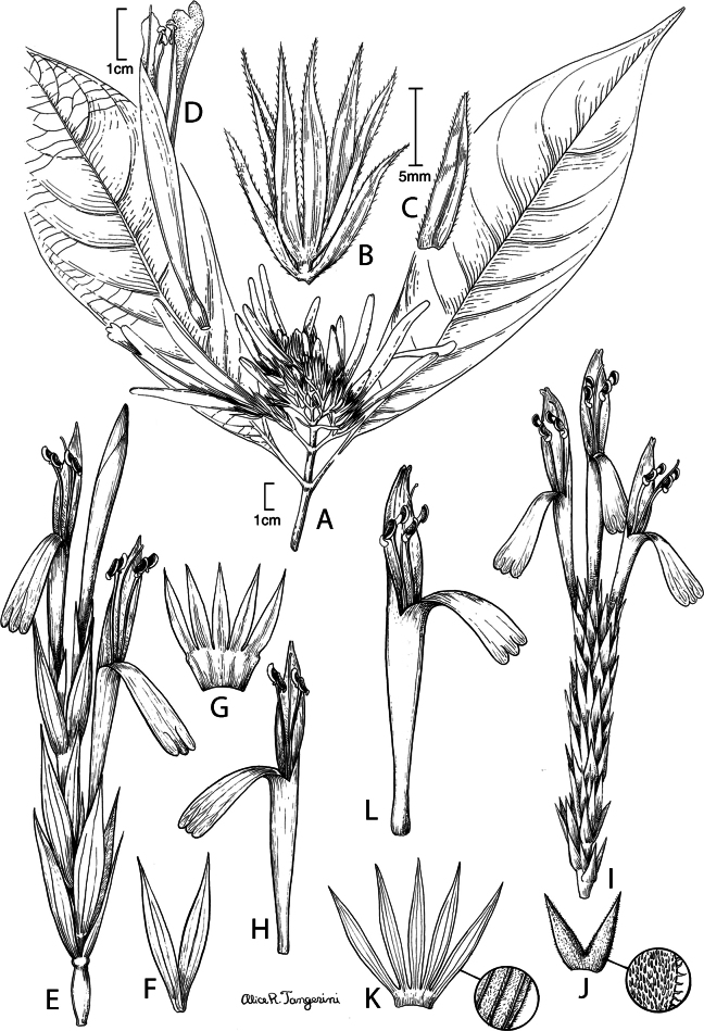 Figure 14