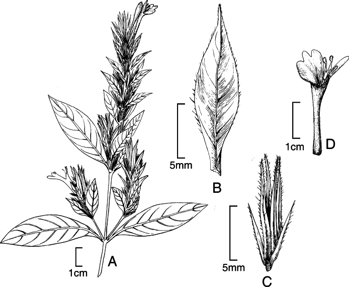 Figure 16