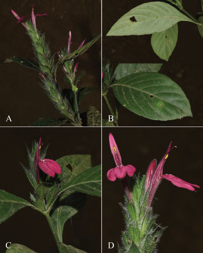 Figure 18
