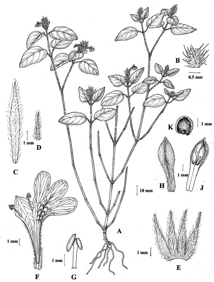 Figure 19