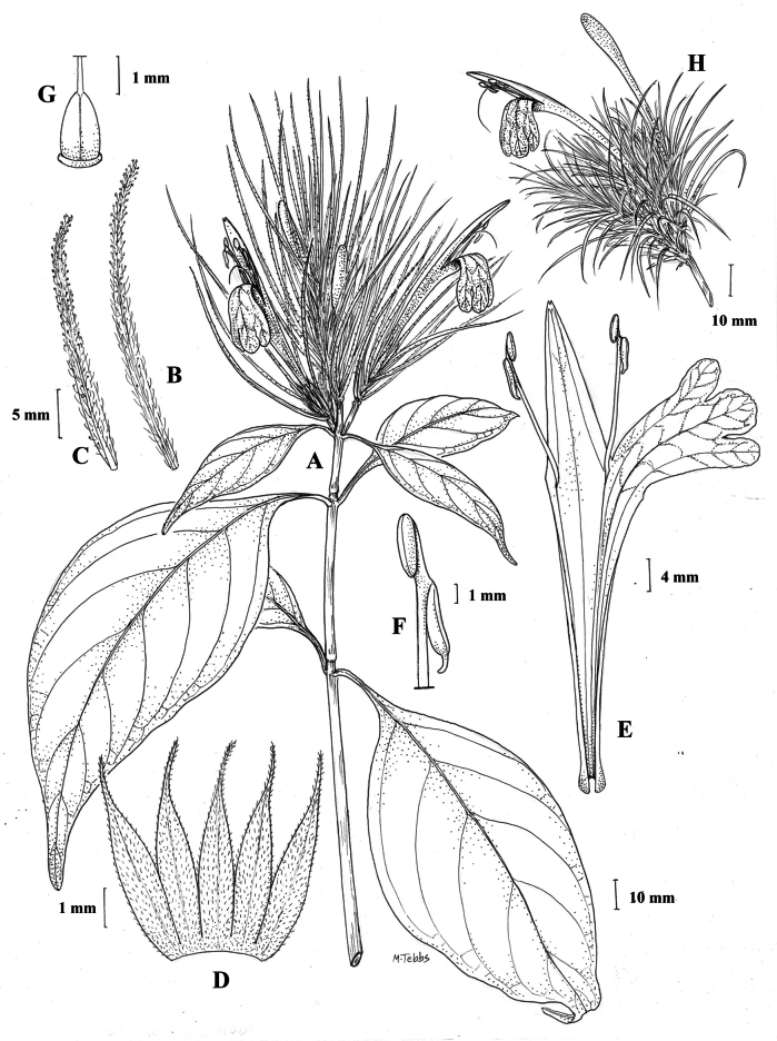 Figure 21