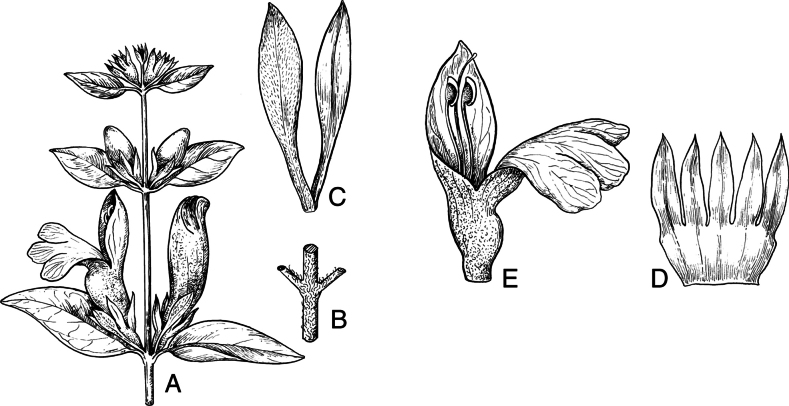 Figure 22