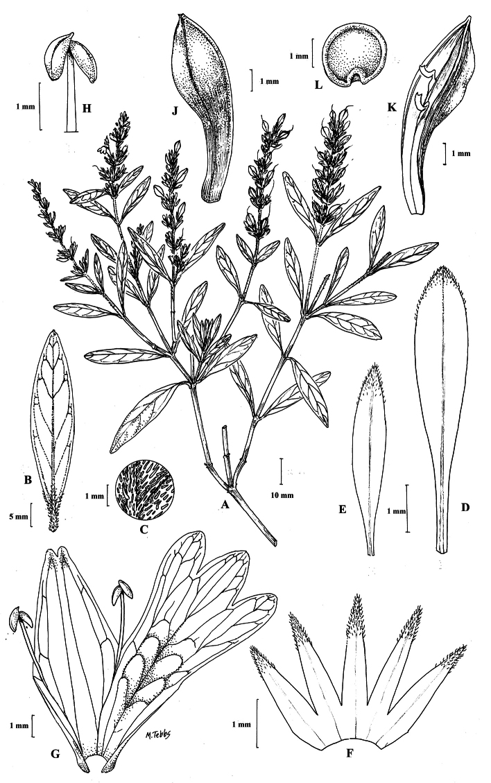 Figure 23