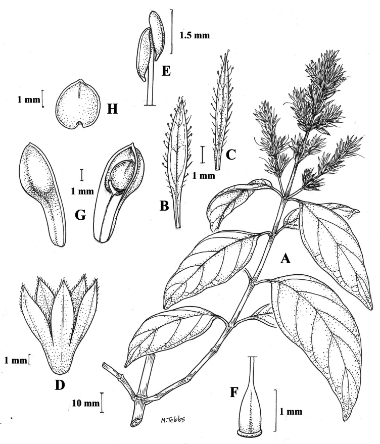 Figure 24