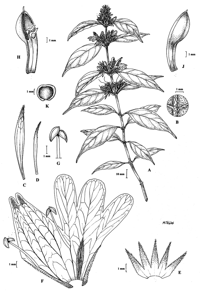 Figure 25