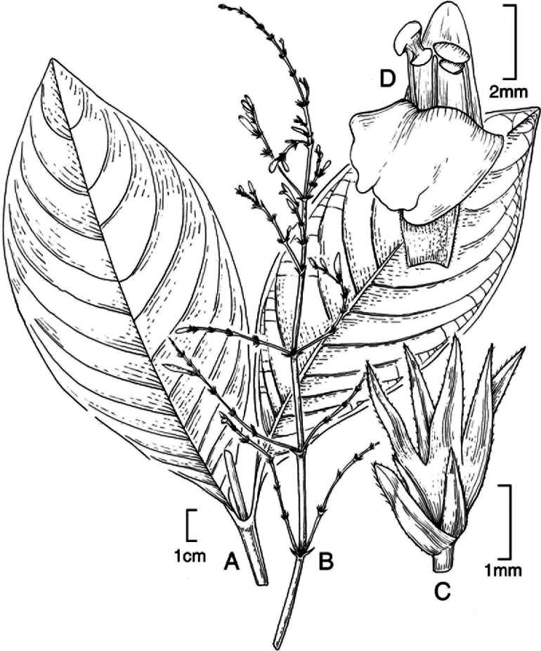 Figure 26