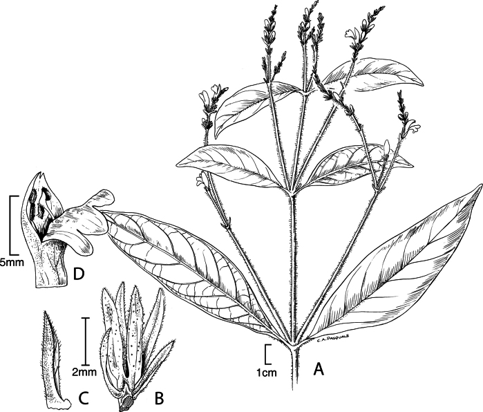 Figure 29