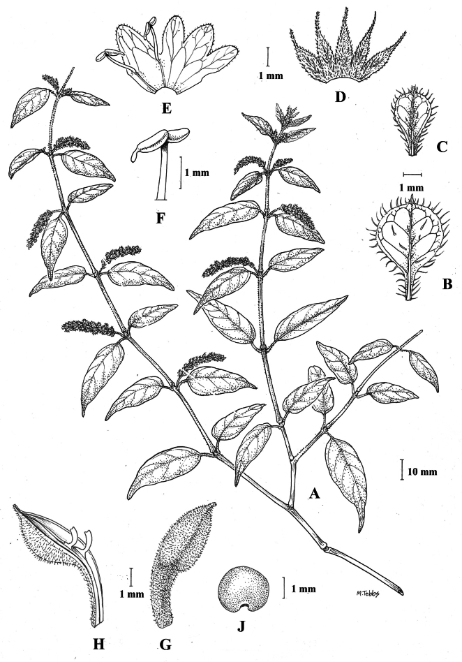 Figure 32