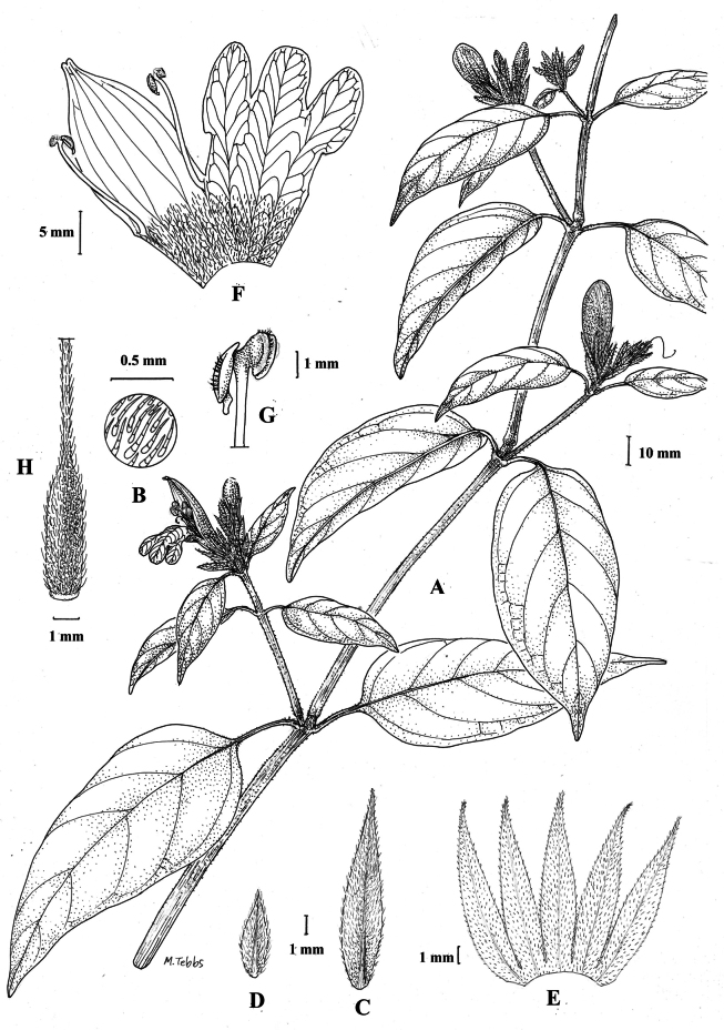 Figure 39