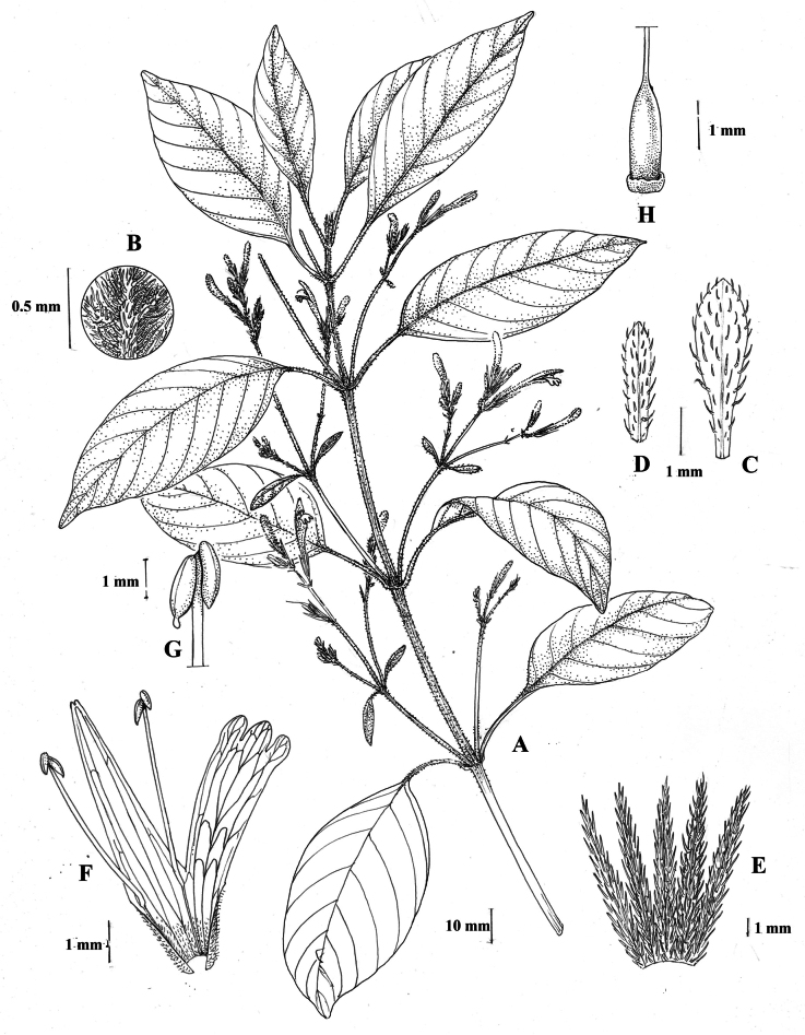 Figure 41