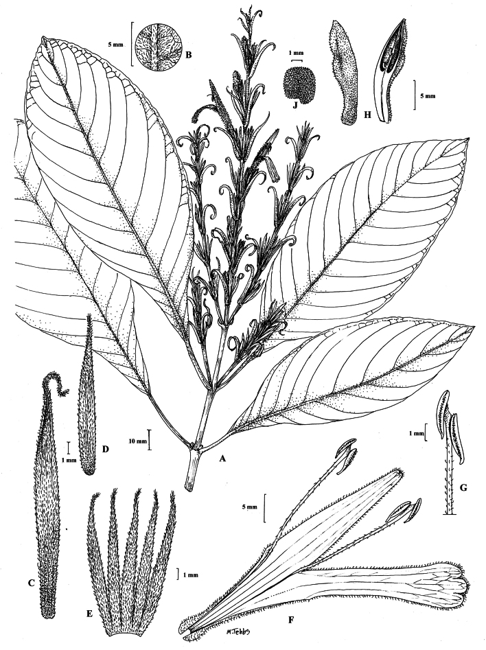 Figure 42