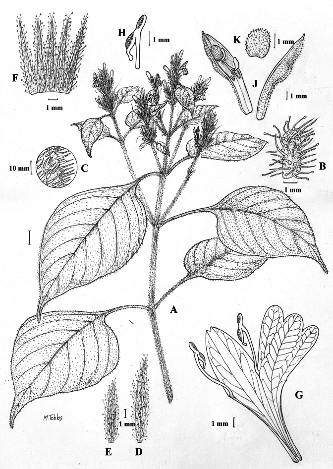 Figure 44