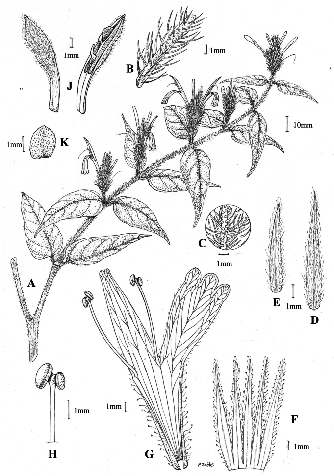 Figure 45