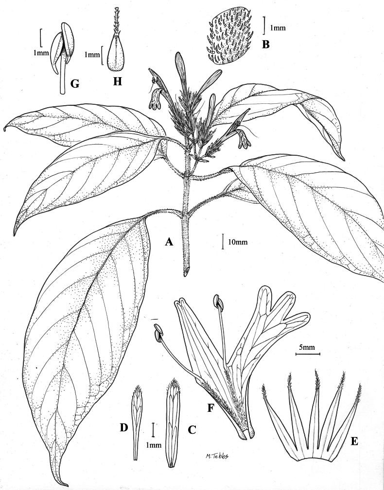Figure 47