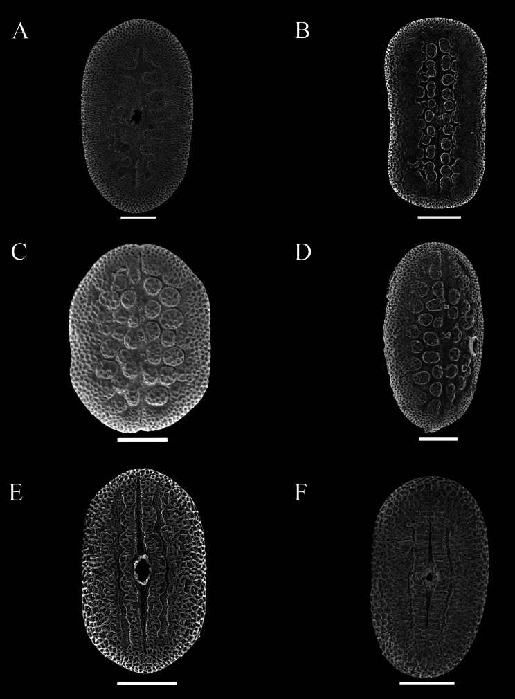 Figure 48