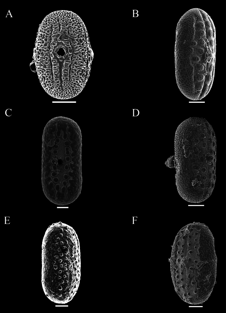 Figure 49