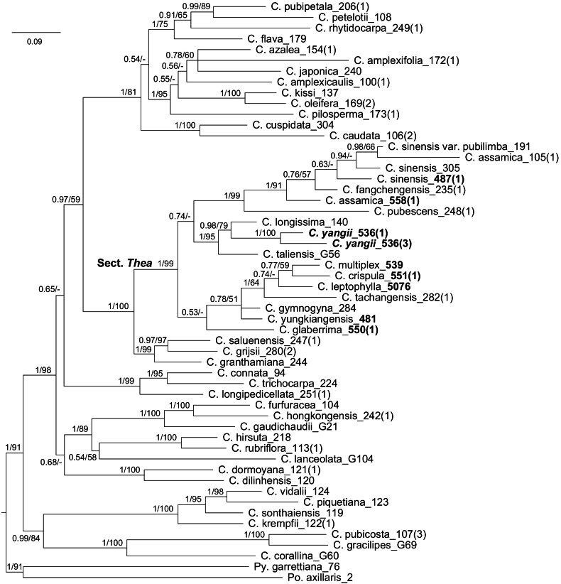 Figure 3