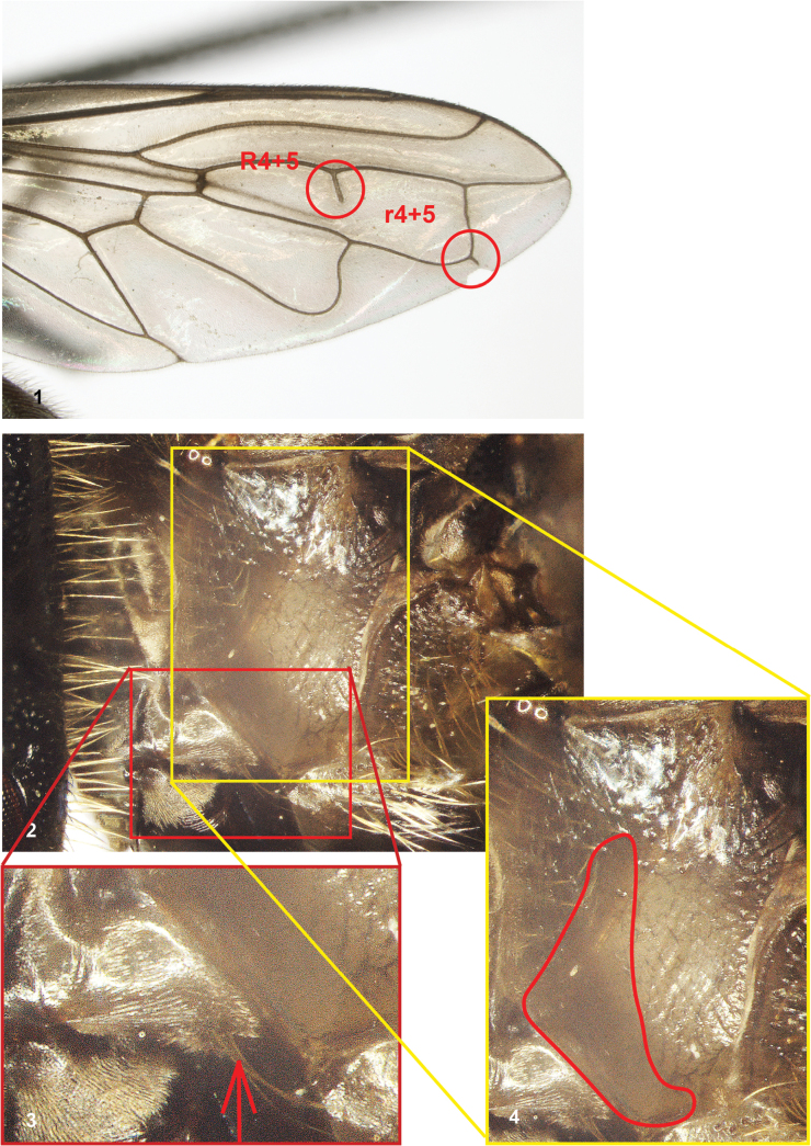 Figures 1–4