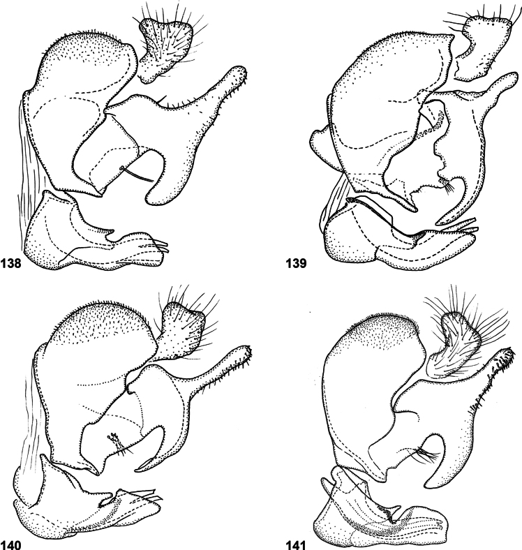 Figures 138–141